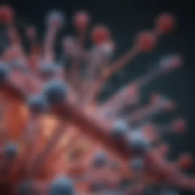 SLA Antibody Interaction with Receptors SLA antibody interaction with receptors