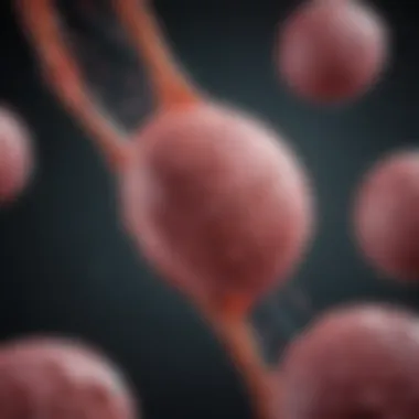 The Role and Significance of Piezo1 Protein in Cellular Functionality Introduction The Role and Significance of Piezo1 Protein in Cellular Functionality Introduction