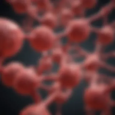 Molecular Pathways of Erythropoietin Molecular pathways influenced by erythropoietin beyond erythropoiesis