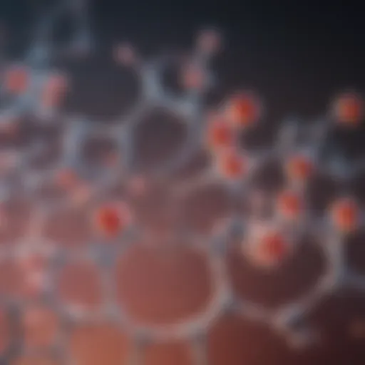 Chemical structure of L-Lysine highlighting its amino acid properties