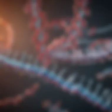 NAD+ and DNA Repair Mechanisms Conceptual illustration of DNA repair mechanisms involving NAD+