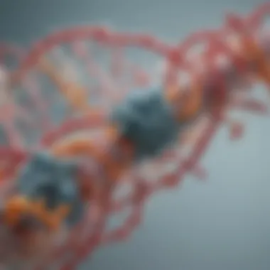The Structure of NAD+ and Its Role in Cellular Metabolism NAD+ molecule illustrating its structure and significance in cellular processes