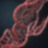 The Role of Synthego's Cas9 Protein in Genome Editing Introduction