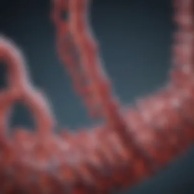 Notable The Role of Synthego's Cas9 Protein in Genome Editing Notable The Role of Synthego's Cas9 Protein in Genome Editing