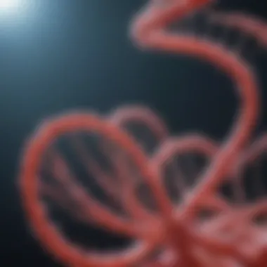 The Role of Synthego's Cas9 Protein in Genome Editing Summary The Role of Synthego's Cas9 Protein in Genome Editing Summary