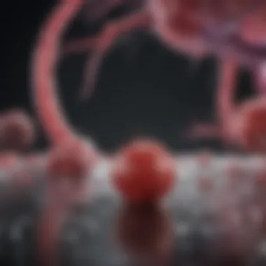 Therapeutic Targets for Inhibiting Metastasis Illustration of potential therapeutic targets for inhibiting metastasis