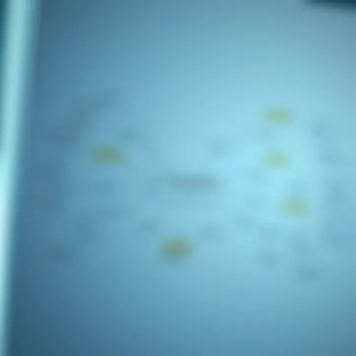 Mind map showcasing case interview methodologies