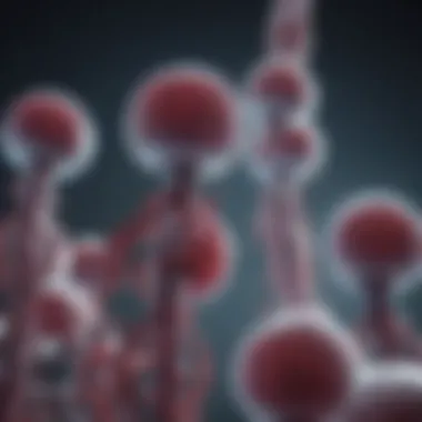 Transgenes in Medical Biotechnology Visual representation of transgenes in medical biotechnology.