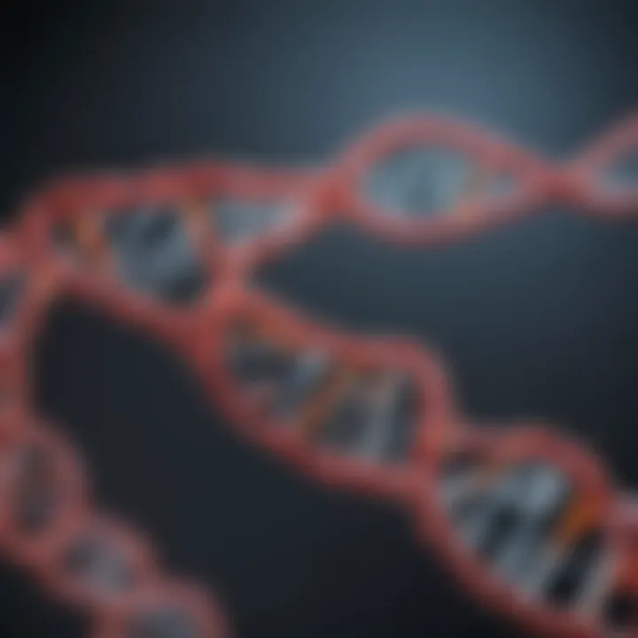 Schematic representation of transcription factors interacting with DNA