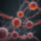 Pathogen transmission routes