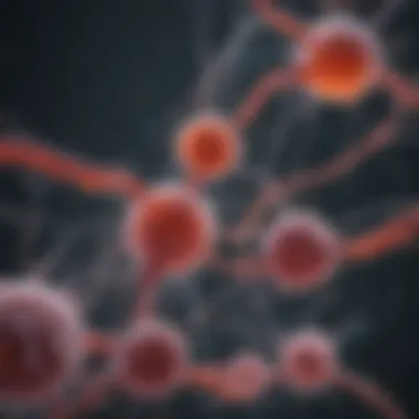Understanding Pathogen Transmission Routes Pathogen transmission routes