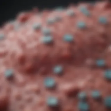 Combination Therapies for Pseudomonas Chart illustrating combination therapy strategies for Pseudomonas infection