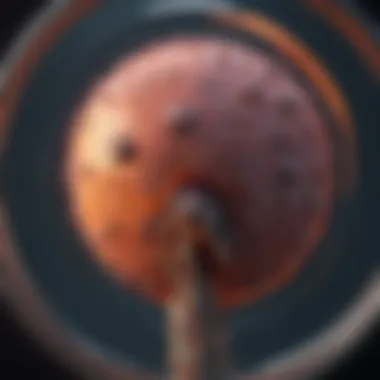 Visual representation of tumor targeting with precision radiation therapy