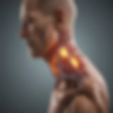 Diagram depicting biochemical changes in arthritis progression