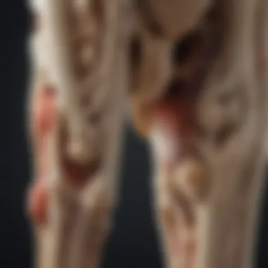 Illustration showing the intricate structure of healthy versus arthritic joints