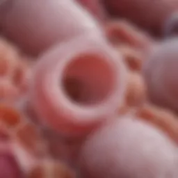 Clinical representation of bacterial vaginosis