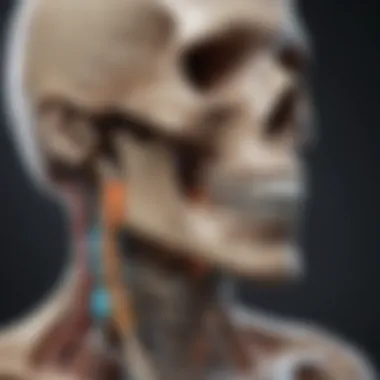 Advancements in Bone Scan Technology Chart highlighting advancements in bone scan technology