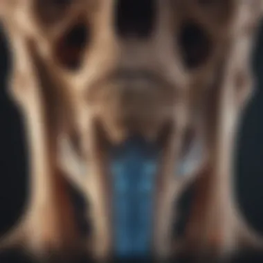 Bone Scan Visualization Detailed view of a bone scan showing areas of concern