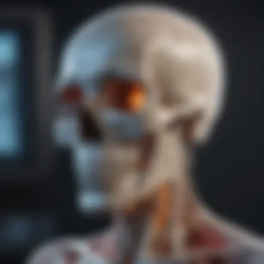 Bone Scan Imaging Mechanism Diagram explaining the mechanism of bone scan imaging