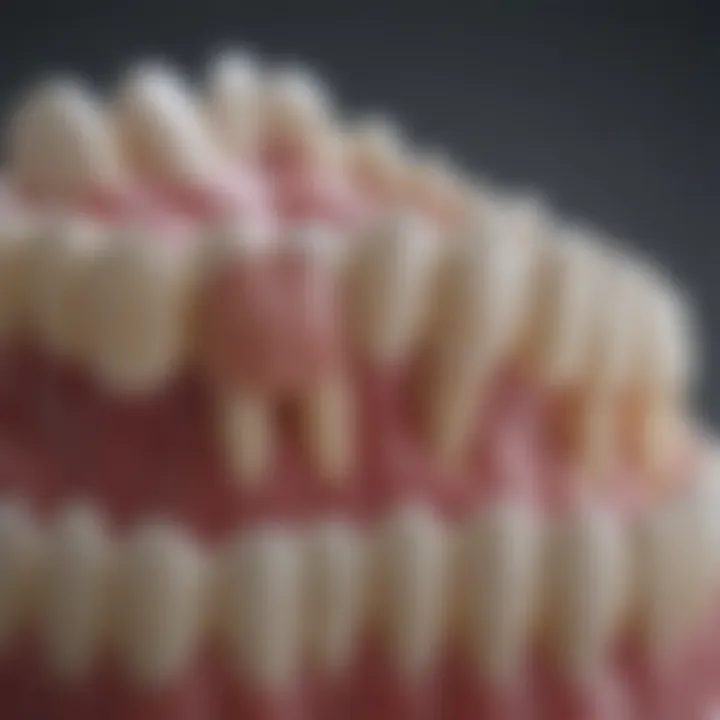 Close-up view of composite resin materials used in dentistry