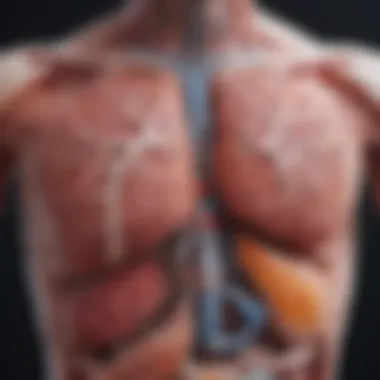 Diagram depicting the mechanism of pneumonia development