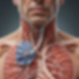 Illustration of the respiratory system affected by COPD and pneumonia