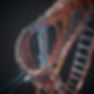 CRISPR Gene Editing Mechanism Diagram illustrating the CRISPR gene editing mechanism