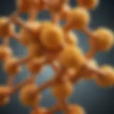 Curcumin Molecular Structure
