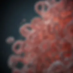Microscopic view of E. coli bacteria