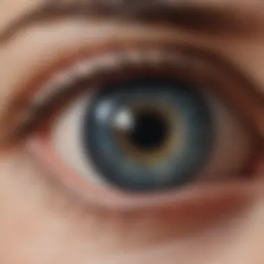 Anatomy of the Cornea Diagram illustrating the anatomy of the cornea