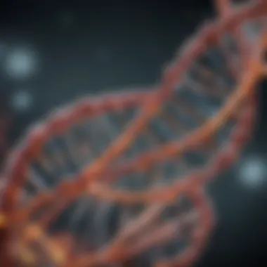 Fusion DNA Polymerase Facilitating DNA Amplification Fusion DNA Polymerase in action during DNA amplification