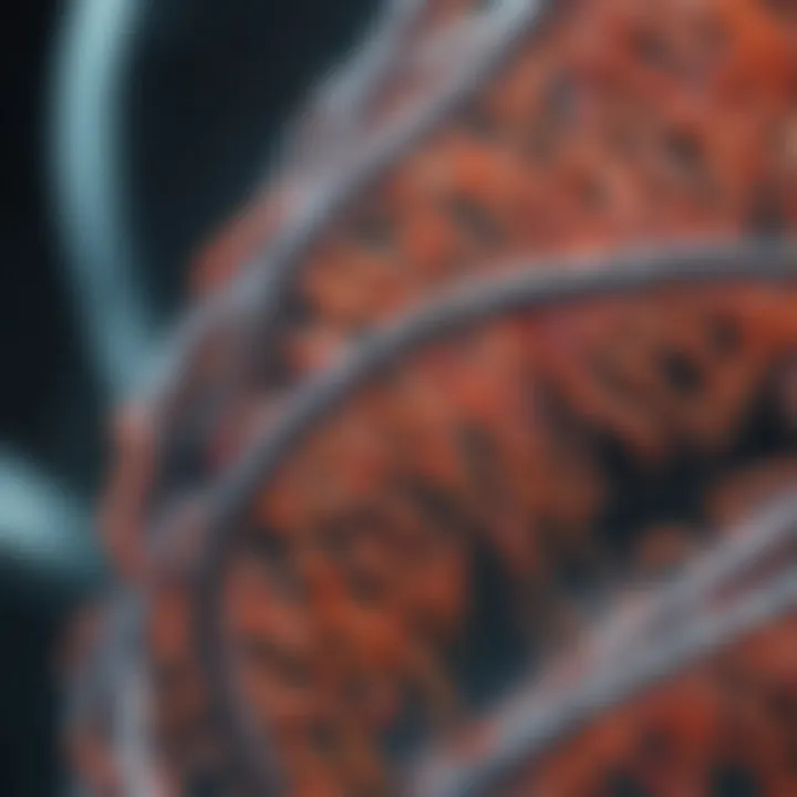 Future advancements in Fusion DNA Polymerase technology