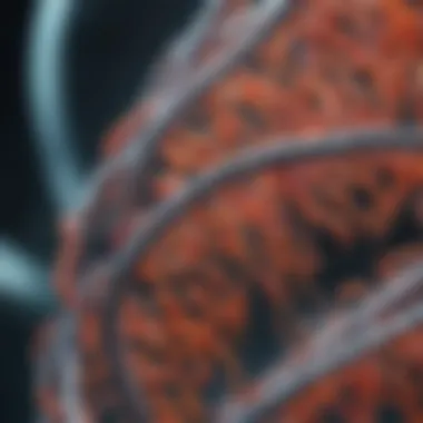 Future Directions in Fusion DNA Polymerase Research Future advancements in Fusion DNA Polymerase technology