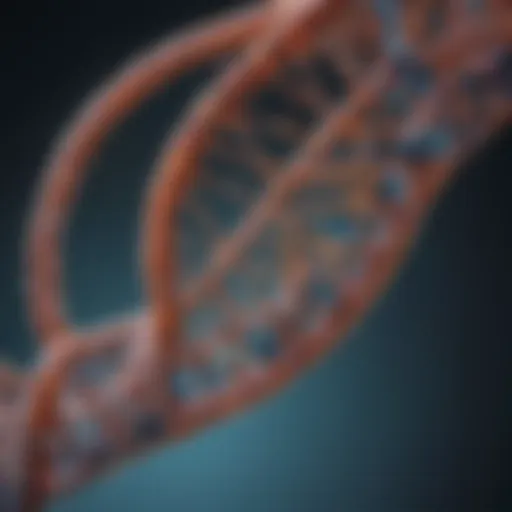 Detailed structure of Fusion DNA Polymerase