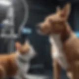 Visualization of PET MR technology in action