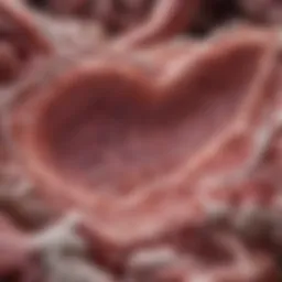 Histological analysis of endometrial cancer