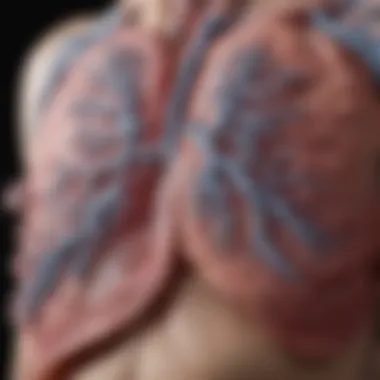 A visual representation of the diagnostic challenges faced in idiopathic pulmonary lung disease.