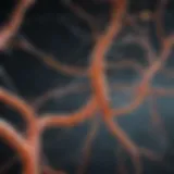 Artistic representation of neurological pathways affected by multiple sclerosis
