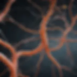 Artistic representation of neurological pathways affected by multiple sclerosis