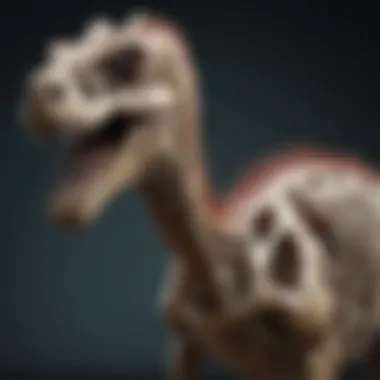 Skeletal Anatomy of a Sauropod Close-up view of the skeletal structure of a sauropod