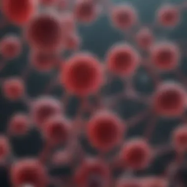 Diagram Depicting Multiple Myeloma Pathology Pathology of multiple myeloma diagram