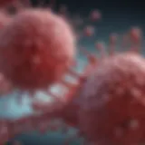 Pathophysiology of Multiple Myeloma