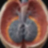 CT scan highlighting a 4mm noncalcified pulmonary nodule
