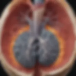CT scan highlighting a 4mm noncalcified pulmonary nodule