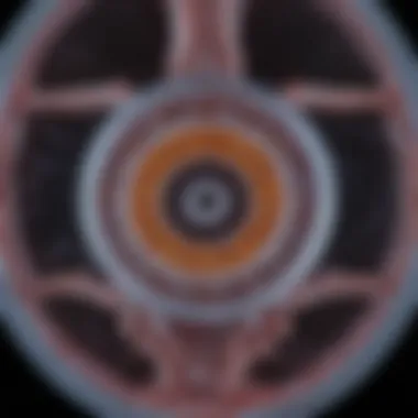 Diagnostic imaging of parathyroid tumors