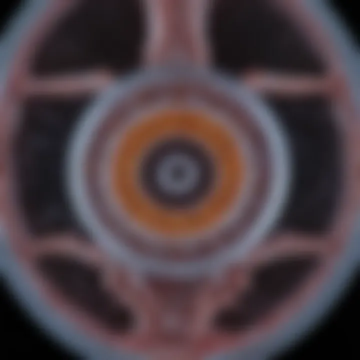 Diagnostic imaging of parathyroid tumors