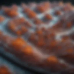 An abstract representation of sound waves indicating tinnitus