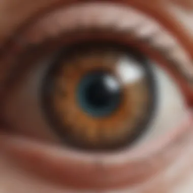 Eye Anatomy and Vitreous Body Illustration of the eye anatomy highlighting the vitreous body