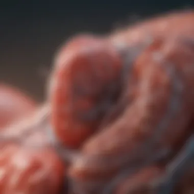 Visual representation of diagnostic techniques for kidney conditions.