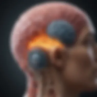 Diagnostic Criteria for MS Visual representation of diagnostic criteria used for Multiple Sclerosis